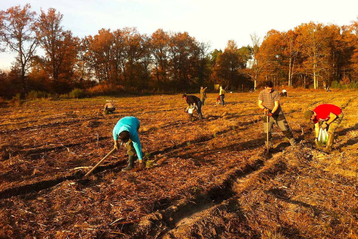 You are currently viewing Bac professionnel Forêt