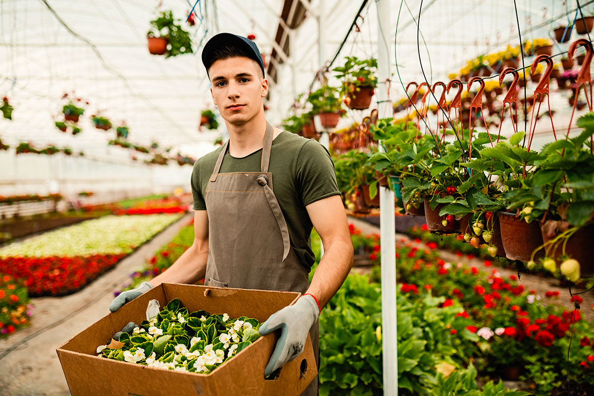 You are currently viewing Bac Pro Conduite de Productions Horticoles
