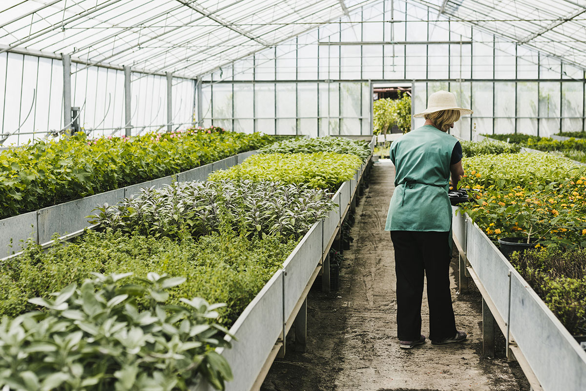 You are currently viewing CAPa Productions horticoles