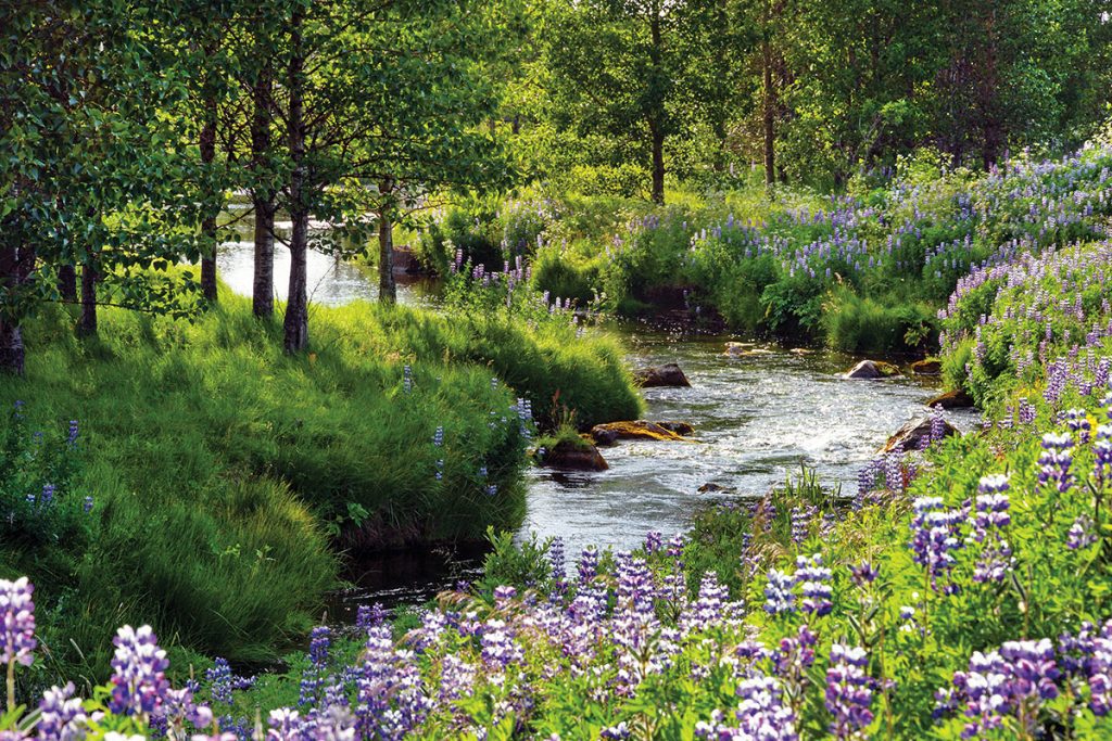 rivière
